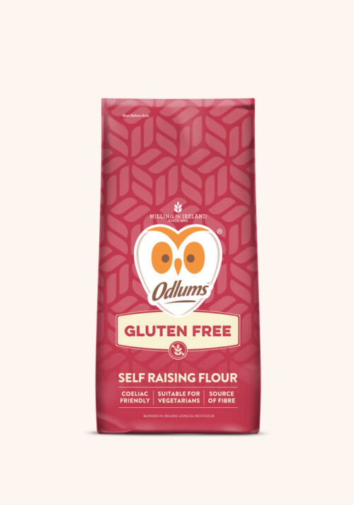 Gluten Free Fruit Cake - Odlums