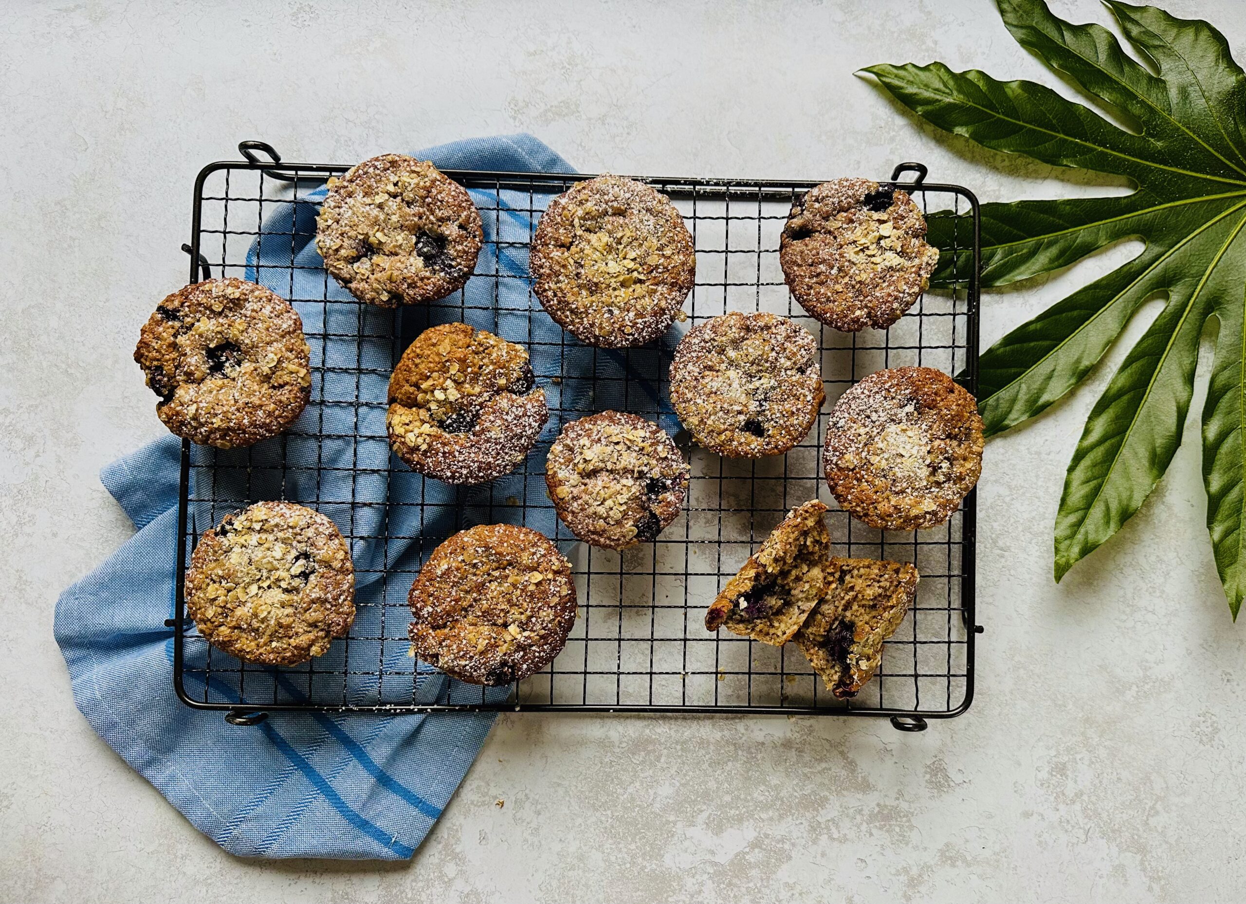 Blueberry Chia Muffins